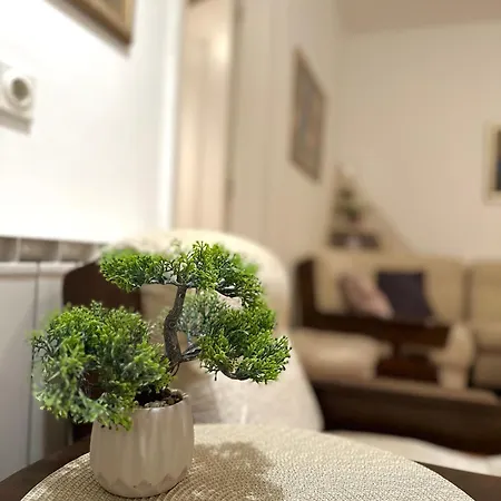 Centar Novi Sad-free Parking Novi Sad